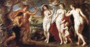 Peter Paul Rubens The Judgement of Paris china oil painting artist